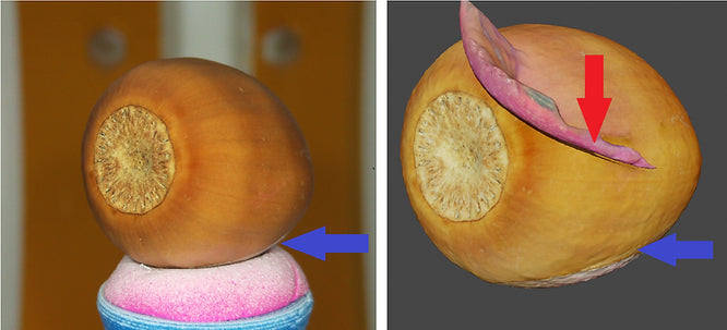 360 degree 3D Scan without any post-processing